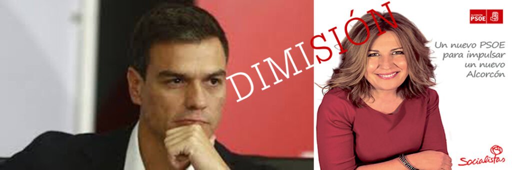 El PP exige la dimisión o destitución de la candidata socialista,  Natalia de Andrés