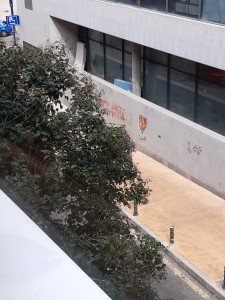 EL PARTIDO POPULAR DENUNCIA LA OKUPACIÓN DEL AYUNTAMIENTO DE ALCORCÓN