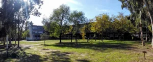 El IES Los Castillos ofrecerá Bachillerato Internacional a partir del curso 2021-2022