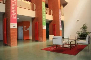 El Imepe no ha ejecutado las ayudas de 2019