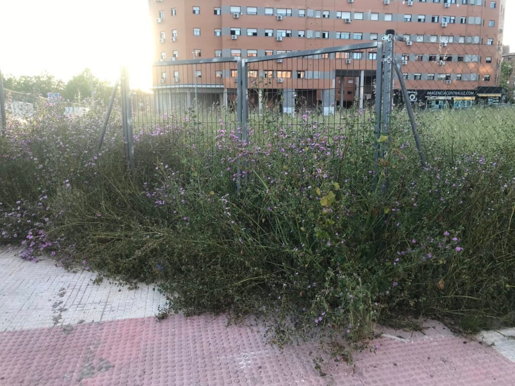 Alcorcón está sucio y abandonado