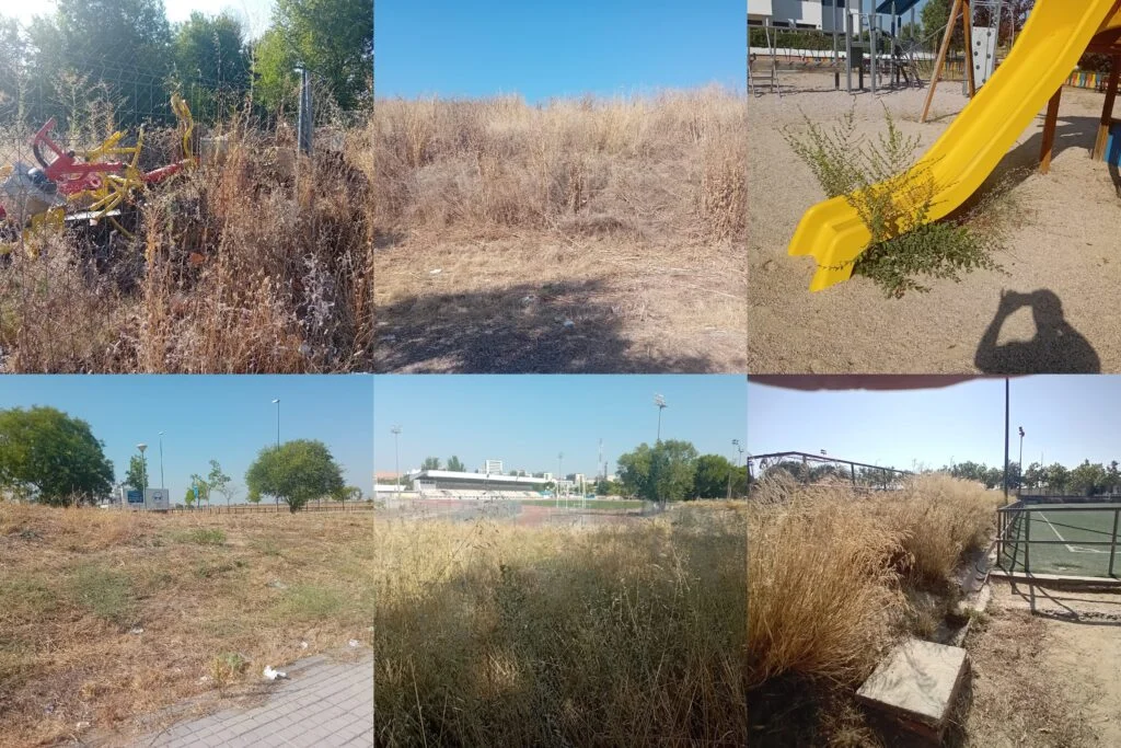 El Partido Popular de Alcorcón denuncia la total ausencia de mantenimiento de los parques y jardines del municipio