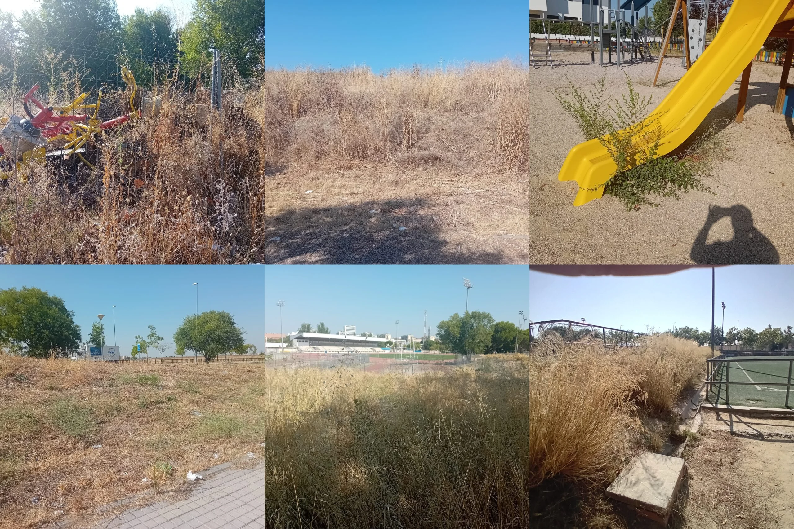 El Partido Popular de Alcorcón denuncia la total ausencia de mantenimiento de los parques y jardines del municipio