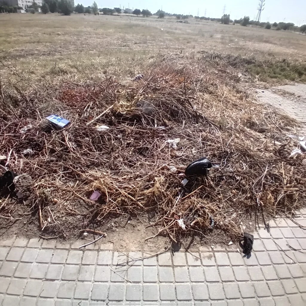 El Partido Popular de Alcorcón denuncia la total ausencia de mantenimiento de los parques y jardines del municipio