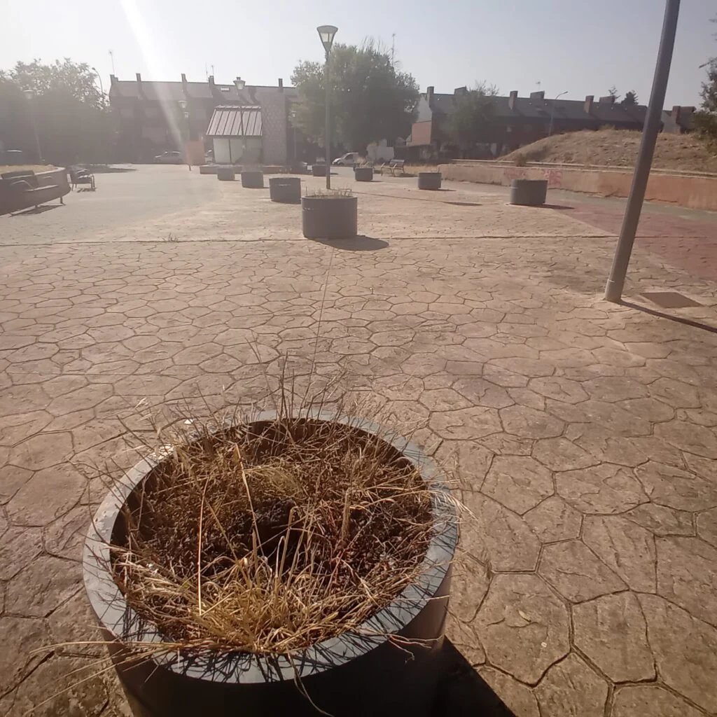 El Partido Popular de Alcorcón denuncia la total ausencia de mantenimiento de los parques y jardines del municipio