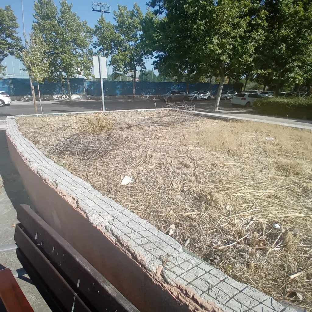 El Partido Popular de Alcorcón denuncia la total ausencia de mantenimiento de los parques y jardines del municipio