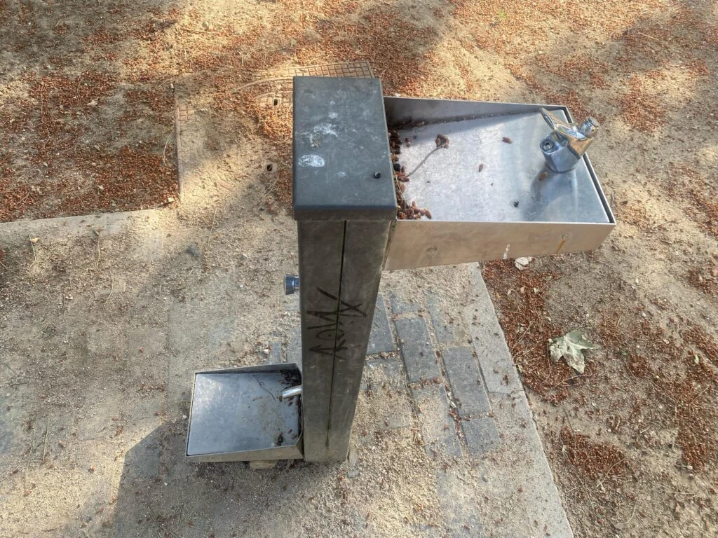 El Partido Popular de Alcorcón propone reactivar las fuentes públicas e instalar adaptaciones para animales domésticos